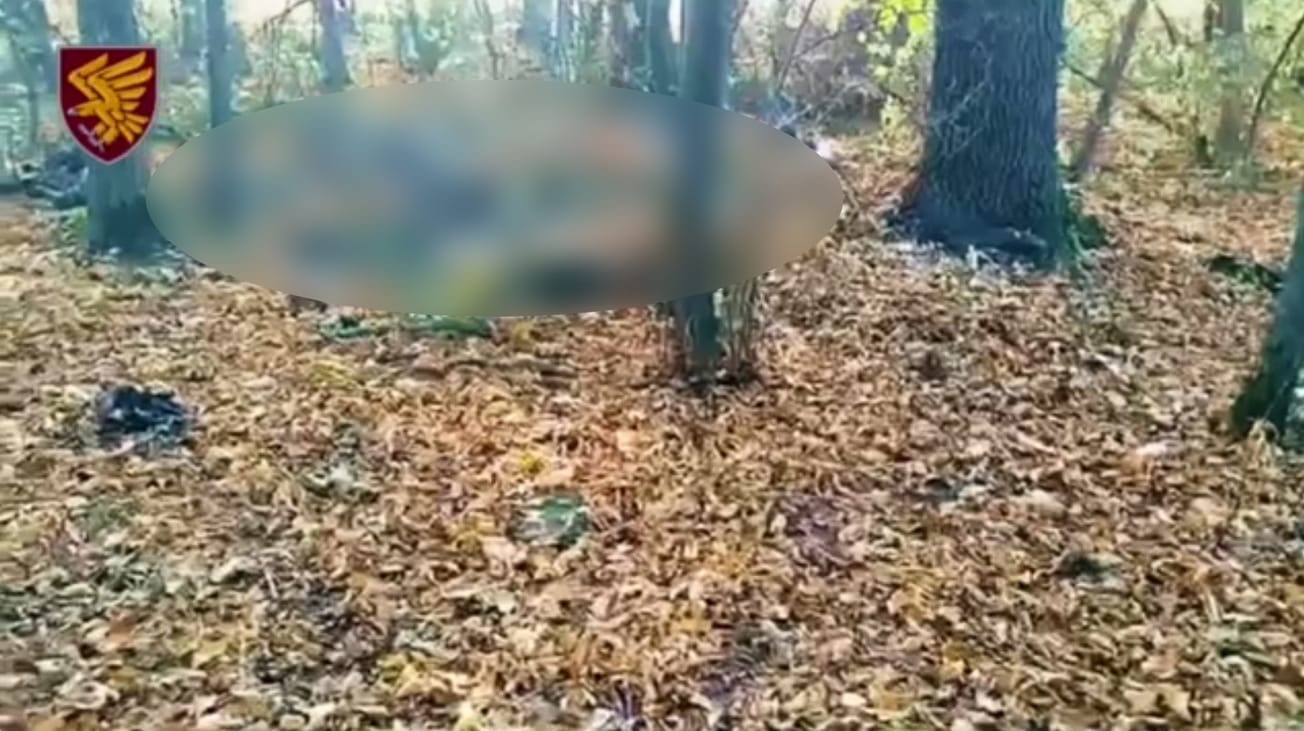 Наши десантники отбили штурм вражеских морпехов на Курщине: уничтожили всю группу оккупантов