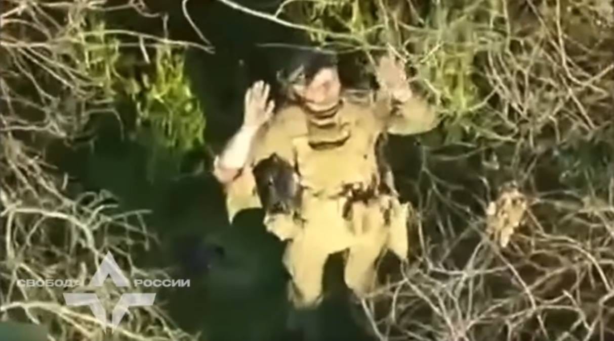 Сделал правильный выбор: Легион "Свобода России" показал видео взятия в плен российского солдата